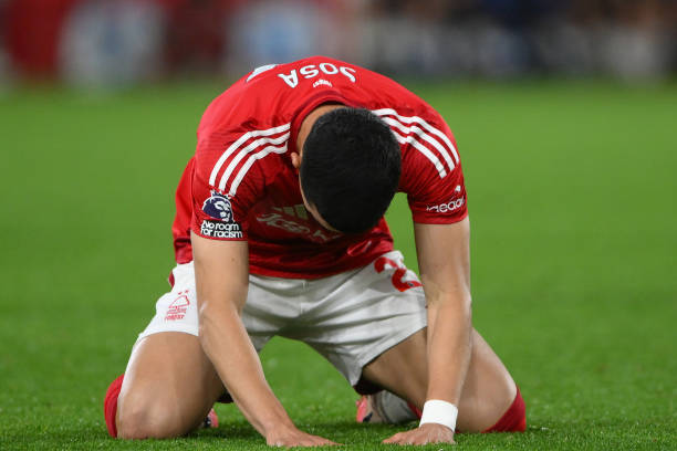 国男篮整体 国男篮整体