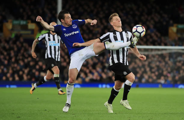 强壮的体格 强壮的体格