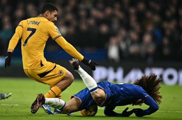 新鲜血液的 新鲜血液的