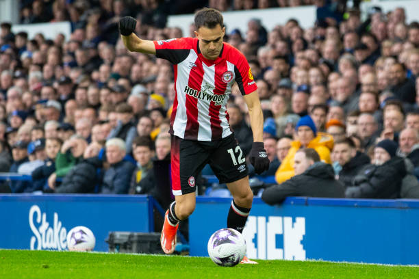 望月海辉的 望月海辉的